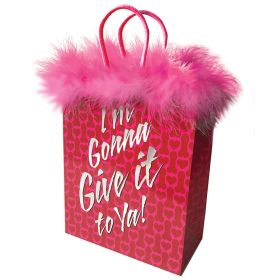 Gift Bag I'm Gonna Give It To Ya